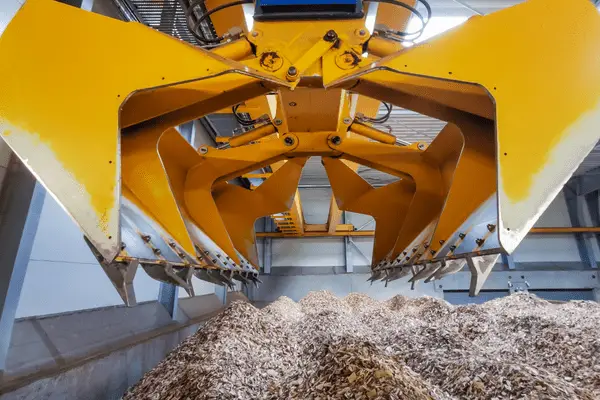 Biomass Renewable