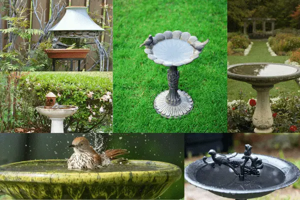 Birdbaths