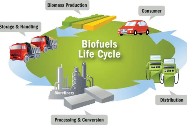 Historical Development Of Biofuels