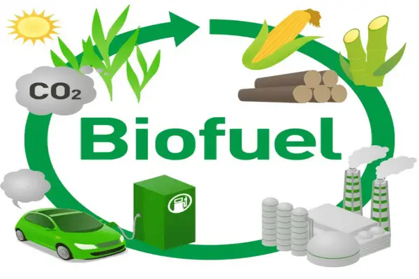 Biofuels