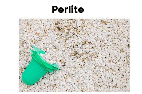 Perlite