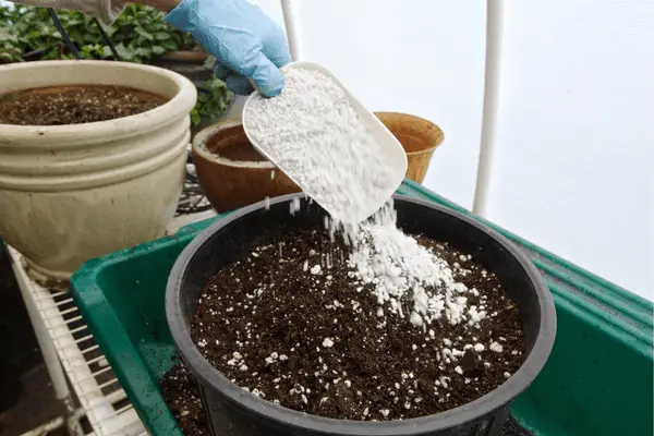 Coco Coir and Perlite 