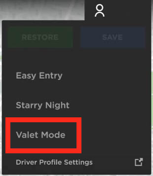 Tesla Valet Mode