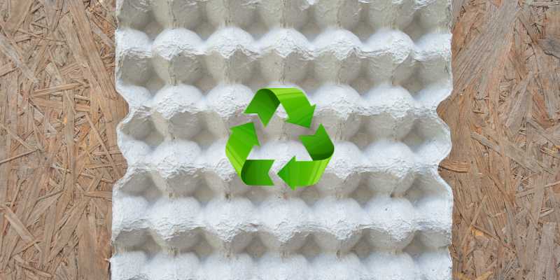 Are Egg Cartons Recyclable
